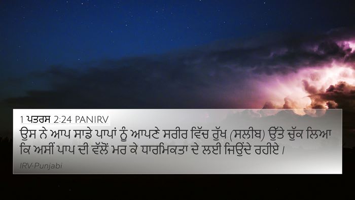 1 ਪਤਰਸ 2:24 PANIRV Bible Verse Image