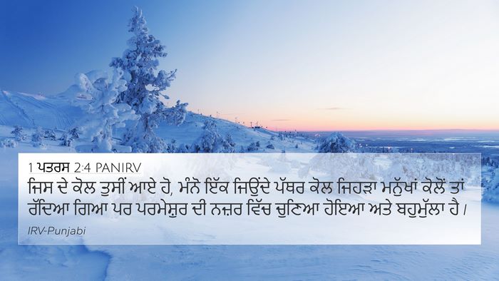 1 ਪਤਰਸ 2:4 PANIRV Bible Verse Image