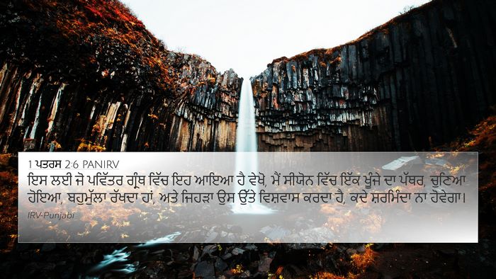 1 ਪਤਰਸ 2:6 PANIRV Bible Verse Image