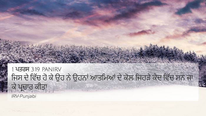 1 ਪਤਰਸ 3:19 PANIRV Bible Verse Image