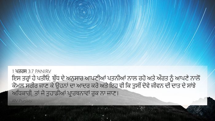 1 ਪਤਰਸ 3:7 PANIRV Bible Verse Image