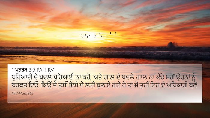 1 ਪਤਰਸ 3:9 PANIRV Bible Verse Image