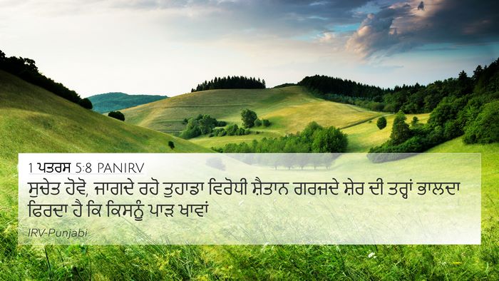 1 ਪਤਰਸ 5:8 PANIRV Bible Verse Image
