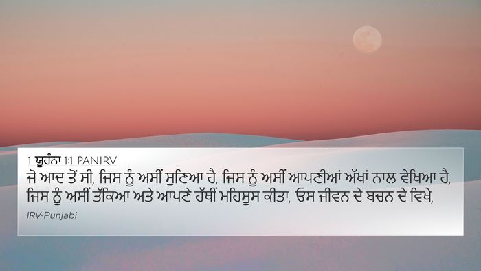 1 ਯੂਹੰਨਾ 1:1 PANIRV Bible Verse Image