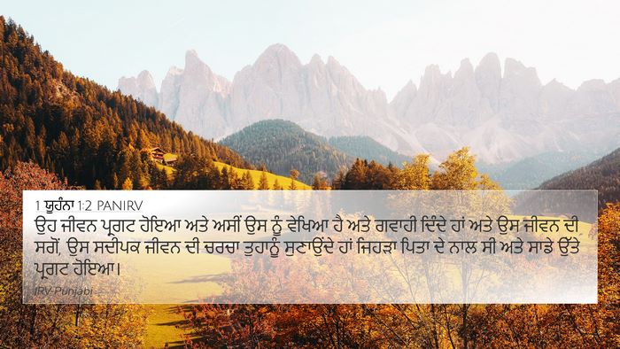 1 ਯੂਹੰਨਾ 1:2 PANIRV Bible Verse Image