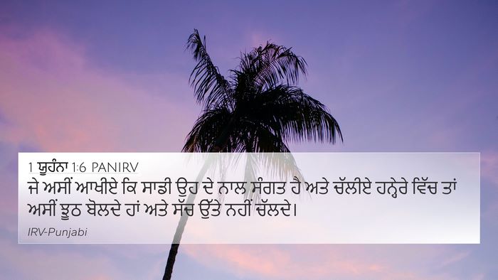 1 ਯੂਹੰਨਾ 1:6 PANIRV Bible Verse Image