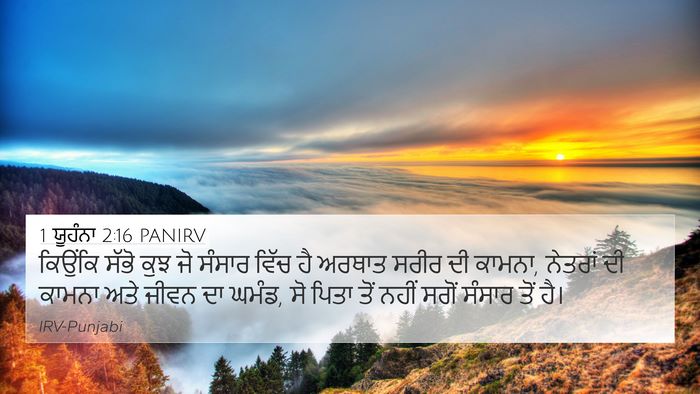 1 ਯੂਹੰਨਾ 2:16 PANIRV Bible Verse Image