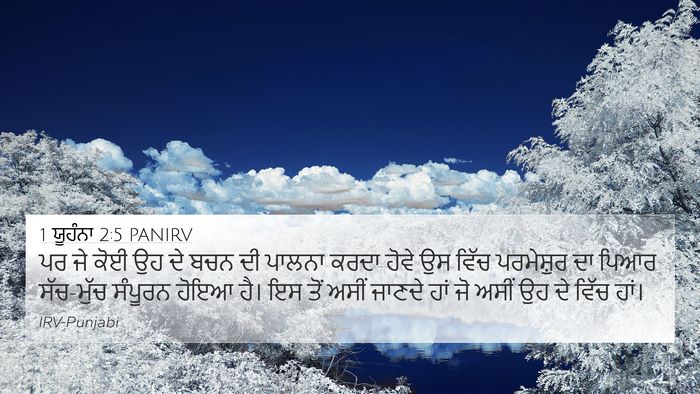 1 ਯੂਹੰਨਾ 2:5 PANIRV Bible Verse Image