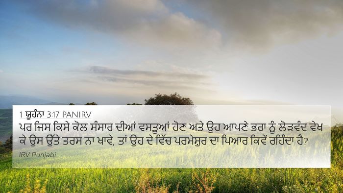 1 ਯੂਹੰਨਾ 3:17 PANIRV Bible Verse Image