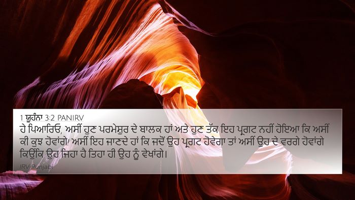1 ਯੂਹੰਨਾ 3:2 PANIRV Bible Verse Image