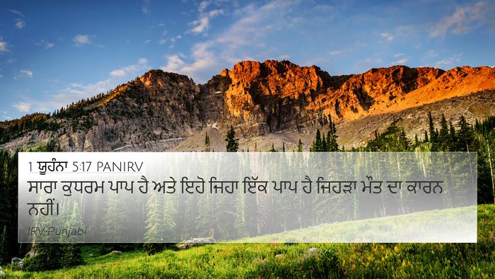 1 ਯੂਹੰਨਾ 5:17 PANIRV 4K Wallpaper - ਸਾਰਾ ਕੁਧਰਮ ਪਾਪ ਹੈ - 4K Wallpaper Bible Verse