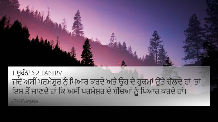 1 ਯੂਹੰਨਾ 5:2 PANIRV Bible Verse Image