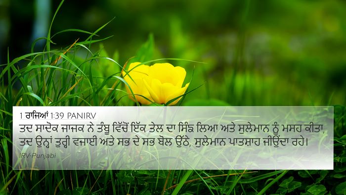 1 ਰਾਜਿਆਂ 1:39 PANIRV Bible Verse Image