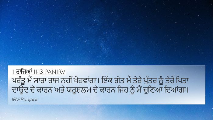1 ਰਾਜਿਆਂ 11:13 PANIRV Bible Verse Image