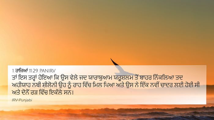 1 ਰਾਜਿਆਂ 11:29 PANIRV Bible Verse Image