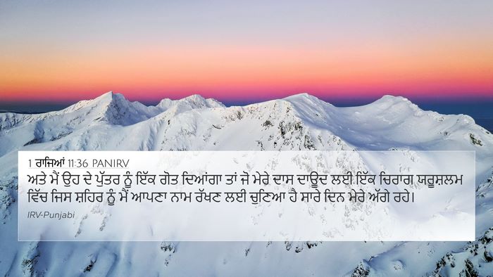 1 ਰਾਜਿਆਂ 11:36 PANIRV Bible Verse Image