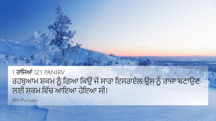 1 ਰਾਜਿਆਂ 12:1 PANIRV Bible Verse Image