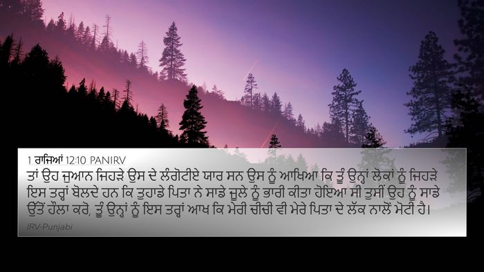 1 ਰਾਜਿਆਂ 12:10 PANIRV Bible Verse Image
