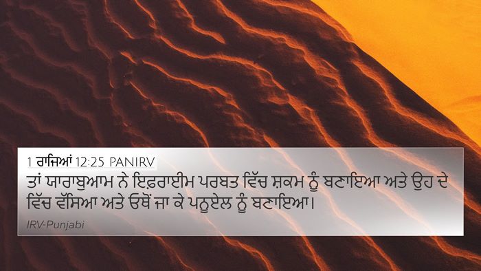 1 ਰਾਜਿਆਂ 12:25 PANIRV Bible Verse Image