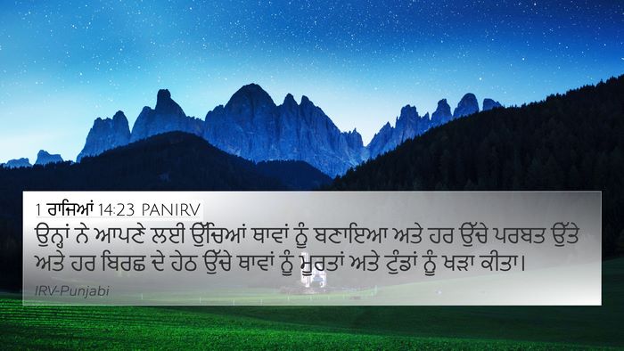 1 ਰਾਜਿਆਂ 14:23 PANIRV Bible Verse Image