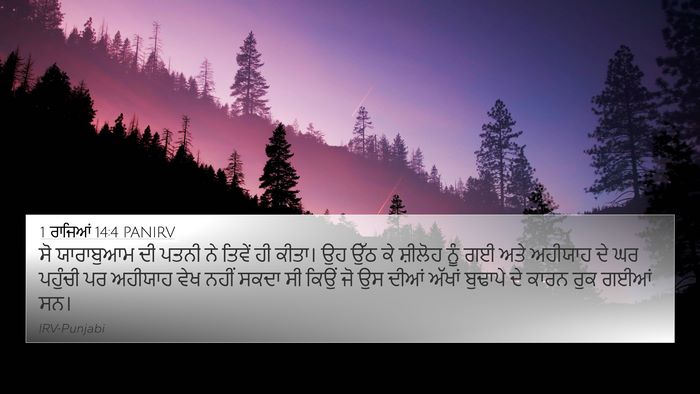 1 ਰਾਜਿਆਂ 14:4 PANIRV Bible Verse Image