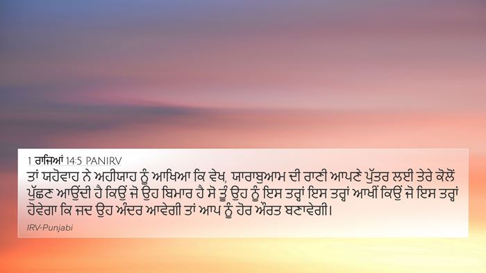 1 ਰਾਜਿਆਂ 14:5 PANIRV Bible Verse Image
