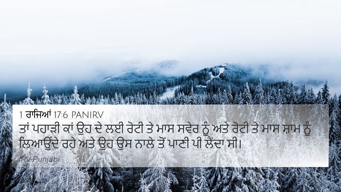 1 ਰਾਜਿਆਂ 17:6 PANIRV Bible Verse Image