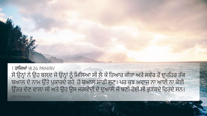 1 ਰਾਜਿਆਂ 18:26 PANIRV Bible Verse Image