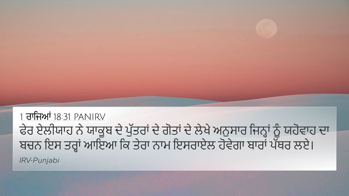 1 ਰਾਜਿਆਂ 18:31 PANIRV Bible Verse Image