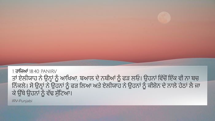 1 ਰਾਜਿਆਂ 18:40 PANIRV Bible Verse Image