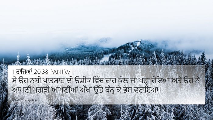1 ਰਾਜਿਆਂ 20:38 PANIRV Bible Verse Image