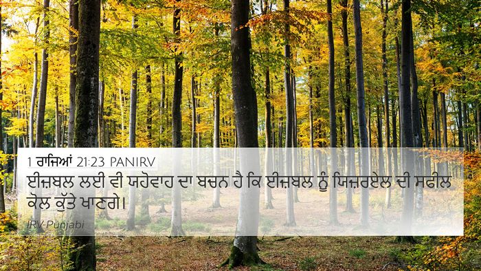 1 ਰਾਜਿਆਂ 21:23 PANIRV Bible Verse Image