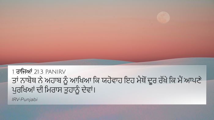 1 ਰਾਜਿਆਂ 21:3 PANIRV Bible Verse Image