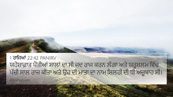 1 ਰਾਜਿਆਂ 22:42 PANIRV 4K Wallpaper - ਯਹੋਸ਼ਾਫ਼ਾਤ - 4K Wallpaper Bible Verse