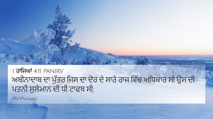 1 ਰਾਜਿਆਂ 4:11 PANIRV Bible Verse Image