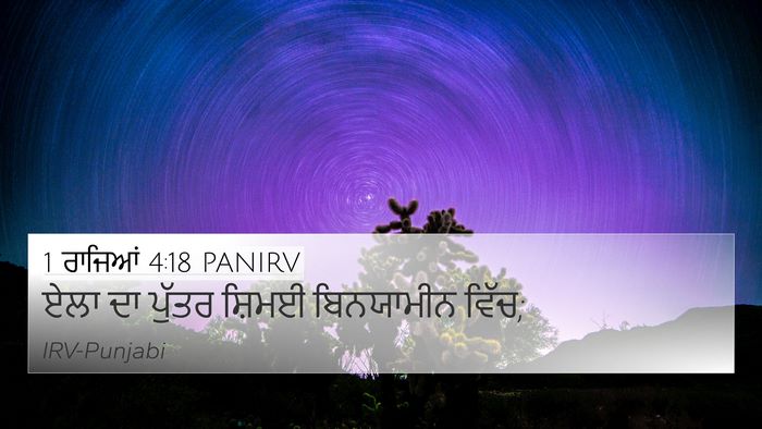 1 ਰਾਜਿਆਂ 4:18 PANIRV 4K Wallpaper - ਏਲਾ ਦਾ ਪੁੱਤਰ ਸ਼ਿਮਈ - 4K Wallpaper Bible Verse