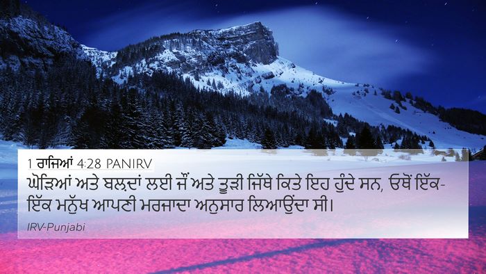 1 ਰਾਜਿਆਂ 4:28 PANIRV 4K Wallpaper - ਘੋੜਿਆਂ ਅਤੇ ਬਲ਼ਦਾਂ - 4K Wallpaper Bible Verse