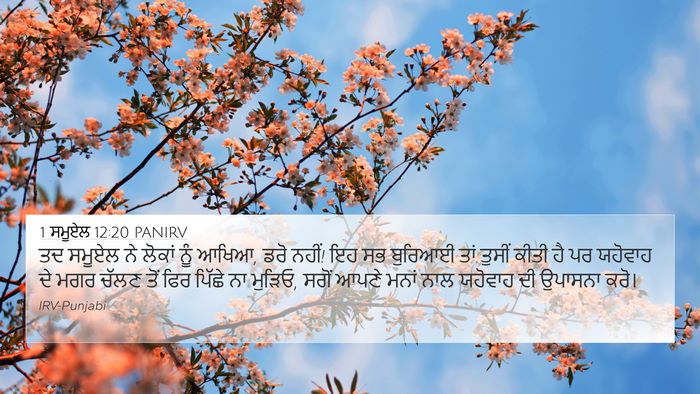 1 ਸਮੂਏਲ 12:20 PANIRV Bible Verse Image