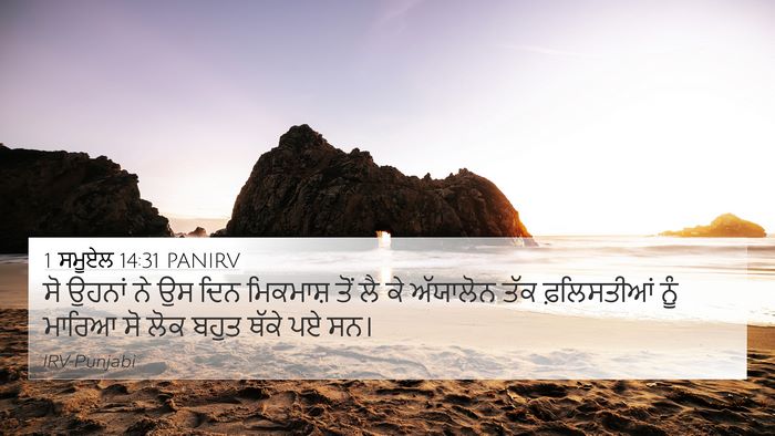 1 ਸਮੂਏਲ 14:31 PANIRV Bible Verse Image