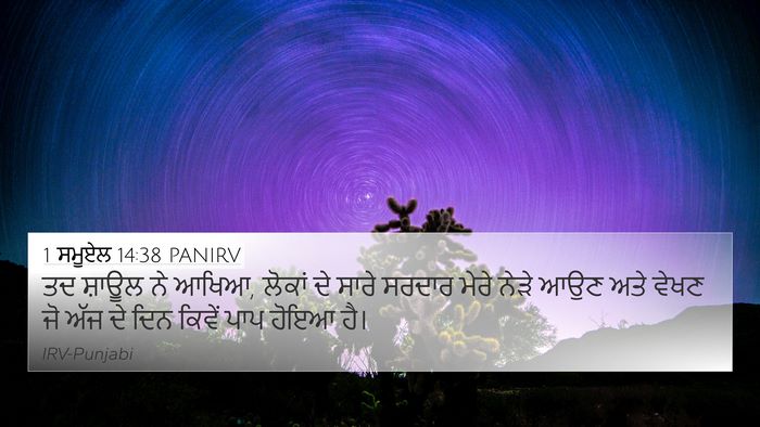 1 ਸਮੂਏਲ 14:38 PANIRV Bible Verse Image