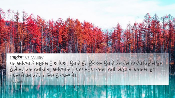 1 ਸਮੂਏਲ 16:7 PANIRV Bible Verse Image