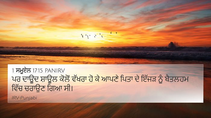 1 ਸਮੂਏਲ 17:15 PANIRV 4K Wallpaper - ਪਰ ਦਾਊਦ ਸ਼ਾਊਲ - 4K Wallpaper Bible Verse