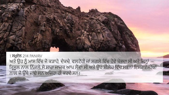 1 ਸਮੂਏਲ 2:14 PANIRV 4K Wallpaper - ਅਤੇ ਉਹ ਨੂੰ ਮਾਸ ਵਿੱਚ - 4K Wallpaper Bible Verse