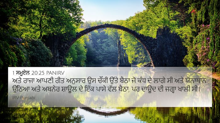 1 ਸਮੂਏਲ 20:25 PANIRV Bible Verse Image