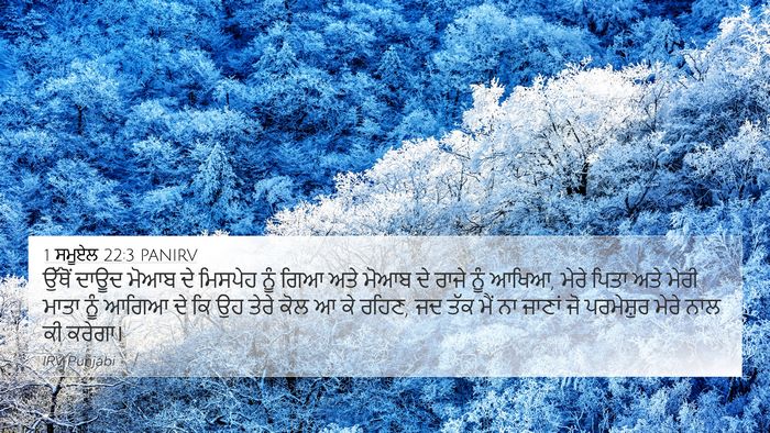 1 ਸਮੂਏਲ 22:3 PANIRV Bible Verse Image