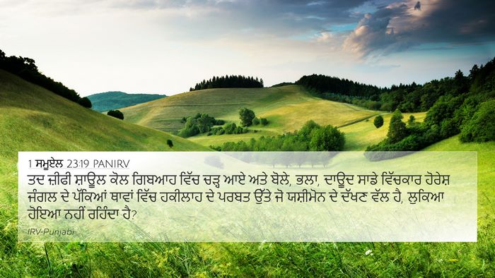 1 ਸਮੂਏਲ 23:19 PANIRV Bible Verse Image