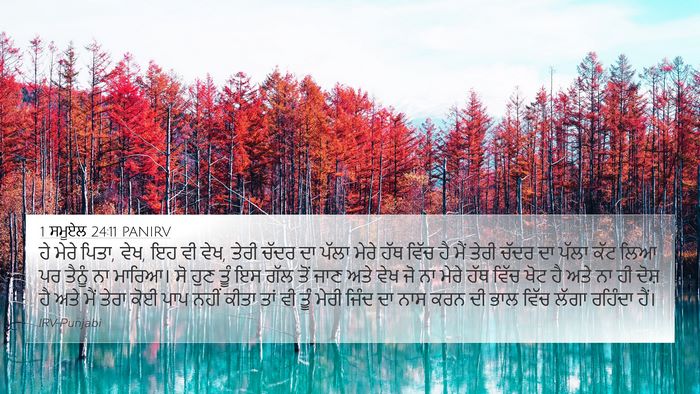 1 ਸਮੂਏਲ 24:11 PANIRV Bible Verse Image