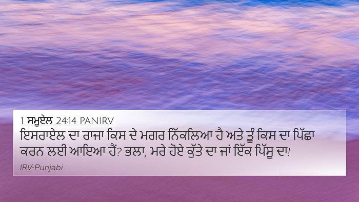 1 ਸਮੂਏਲ 24:14 PANIRV Bible Verse Image