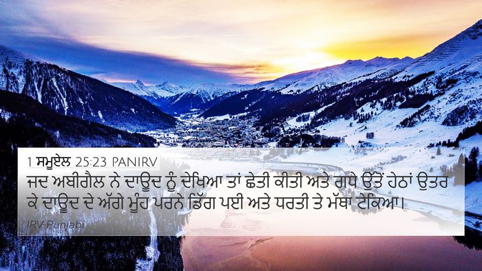 1 ਸਮੂਏਲ 25:23 PANIRV Bible Verse Image