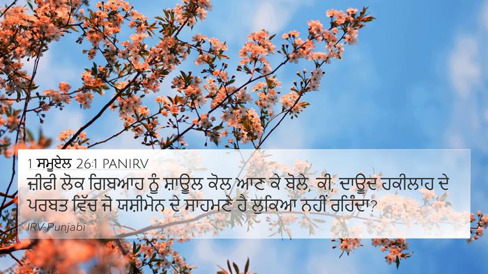 1 ਸਮੂਏਲ 26:1 PANIRV Bible Verse Image